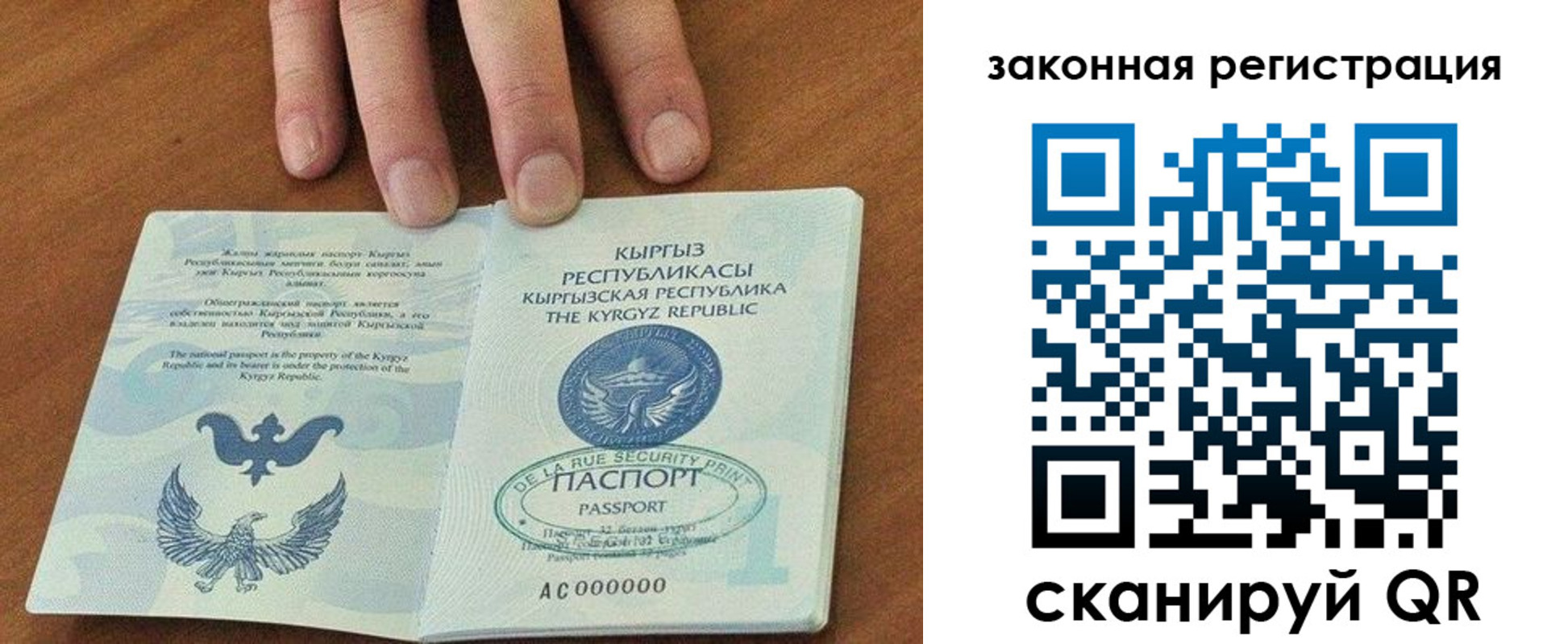 прописка гарантия в Бологом